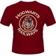 HARRY POTTER-HOGWARTS RAILWAYS -XXL- (MRCH)