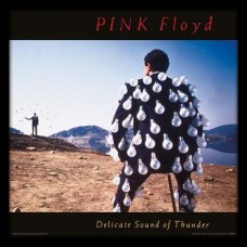 PINK FLOYD-DELICATE SOUND OF THUNDER (MRCH)