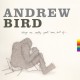 ANDREW BIRD-THINGS ARE REALLY GREAT.. (CD)