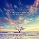 KELLEY HUNT-BEAUTIFUL BONES (CD)