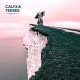 CALYX & TEEBEE-FABRIC LIVE 76 (CD)