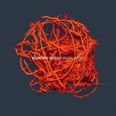ELEKTRO GUZZI-OBSERVATORY (CD)