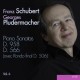 F. SCHUBERT-PIANO SONATAS VOL.6 (CD)