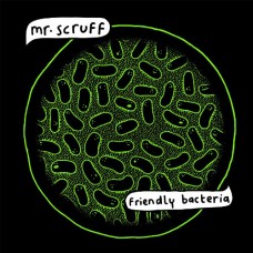 MR SCRUFF-FRIENDLY BACTERIA (CD)
