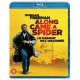 FILME-ALONG CAME A SPIDER (DVD)