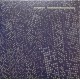 SURGEON-BASICTONALVOCABULARY (2LP)