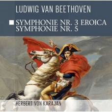 L. VAN BEETHOVEN-SYMPHONIE NO.3 EROICA/SYM (CD)