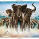 ELVIS COSTELLO & THE ATTRACTIONS-ARMED FORCES -HQ- (LP)