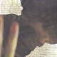 DADS-BROWN ON BROWN (LP)