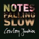 COWBOY JUNKIES-NOTES FALLING SOFTLY (4CD)