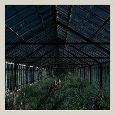 FOXING-DEALER (LP)