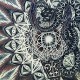 ABIGAIL WILLIAMS-ACCUSER (CD)
