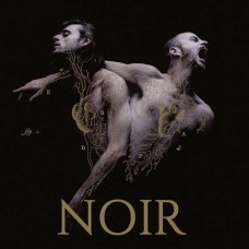 HEYMOONSHAKER-NOIR (CD)