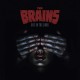 BRAINS-OUT IN THE DARK (CD)