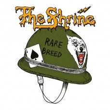 SHRINE-RARE BREED -LTD- (CD)