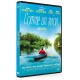 FILME-COMME UN AVION (DVD)