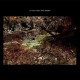 DANIEL NORGREN-GREEN STONE (LP)