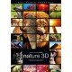 DOCUMENTÁRIO-NATURE (DVD)