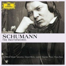 R. SCHUMANN-MASTERWORKS (35CD)