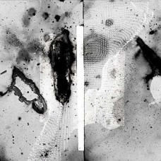 CERTAIN CREATURES-VIPASSANA (2LP)