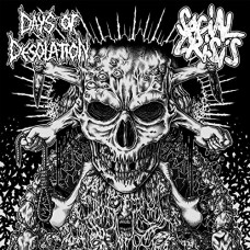 SOCIAL CRISIS/DAYS OF DES-SPLIT (7")