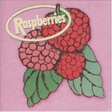 RASPBERRIES-CLASSIC ALBUM SET (4CD)