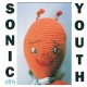 SONIC YOUTH-DIRTY (4LP)