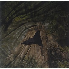 D33J-GRAVEL REMIXED (LP)