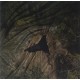 D33J-GRAVEL REMIXED (LP)