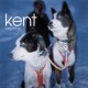 KENT-B-SIDOR 95-00 (3LP)