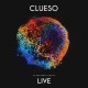 CLUESO-STADTRANDLICHTER -LIVE- (2CD)