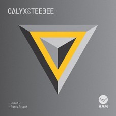 CALYX & TEEBEE-CLOUD 9 (12")