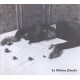 LE VOLUME COURBE-I WISH DEE DEE RAMONE.. (LP)