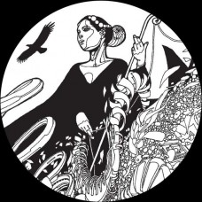 FHLOSTON PARADIGM-COSMOSIS 1 (12")