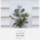 LA DISPUTE-TINY DOTS -DIGI- (DVD)