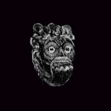 VVOVNDS-DESCENDING FLESH (CD)