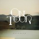 ON TOUR-FOLKROCK (LP)