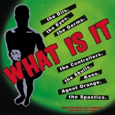 V/A-WHAT IS IT (10")