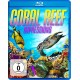 SPECIAL INTEREST-CORAL REEF - IMPRESSIONS (DVD)
