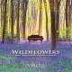 SOLITUDES-WILDFLOWERS -DIGI- (CD)
