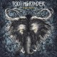 TOOTHGRINDER-NOCTURNAL MASQUERADE (LP)