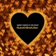 SWEET HONEY IN THE ROCK-LOVEINEVOLUTION (CD)