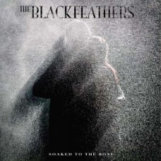 BLACK FEATHERS-SOAKED TO THE BONE (CD)