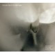 MICHAEL BLOCH TRIO-FIRST LIGHT (CD)