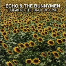 ECHO & THE BUNNYMEN-BREAKING THE BACK OF LOVE (CD)