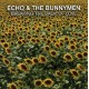 ECHO & THE BUNNYMEN-BREAKING THE BACK OF LOVE (CD)