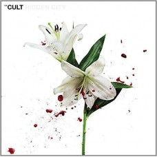 CULT-HIDDEN CITY (CD)