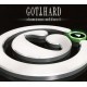 GOTTHARD-DOMINO EFFECT -LTD- (CD)