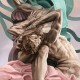 MURLO-ODYSSEY (LP)