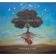 MATT FLINNER TRIO-TRAVELING ROOTS (CD)